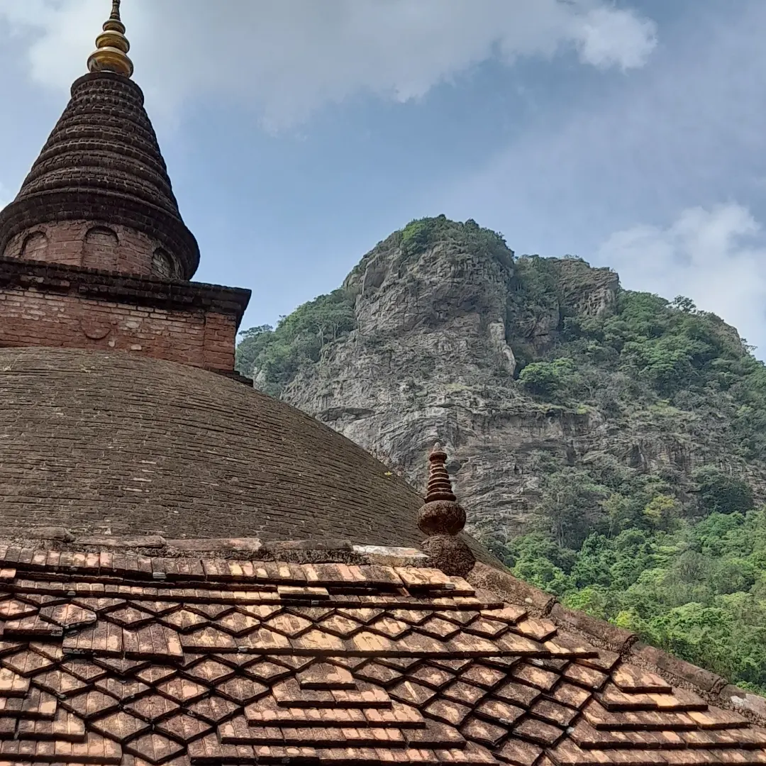 IMG_20231029_181423_794