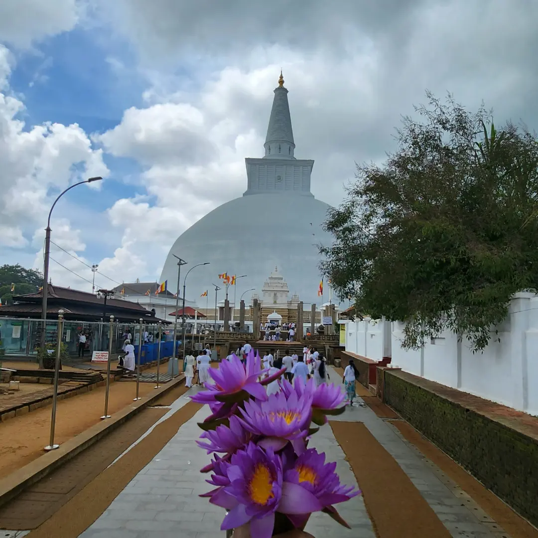 IMG_20231031_133029_925