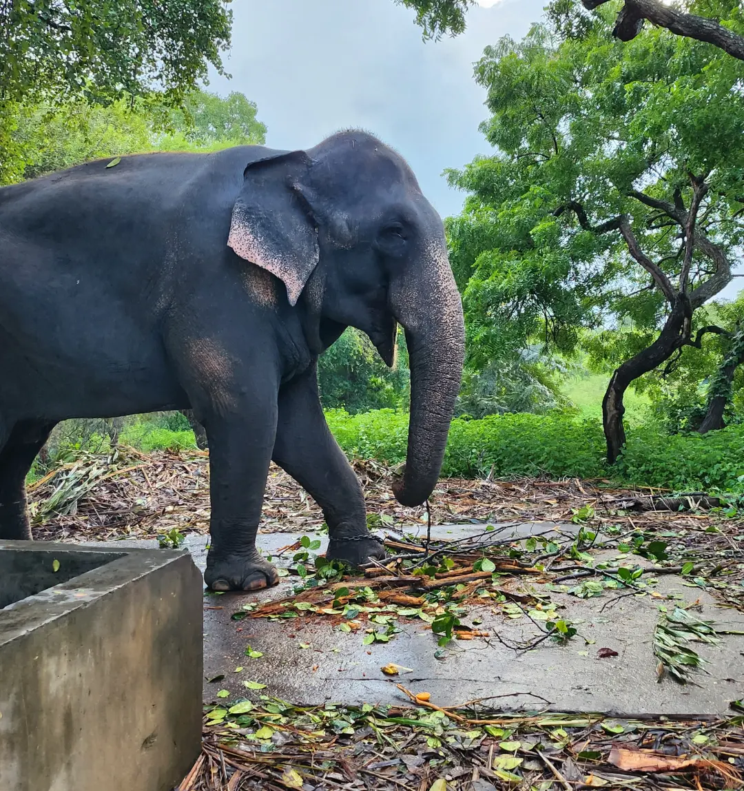 IMG_20231107_104540_890