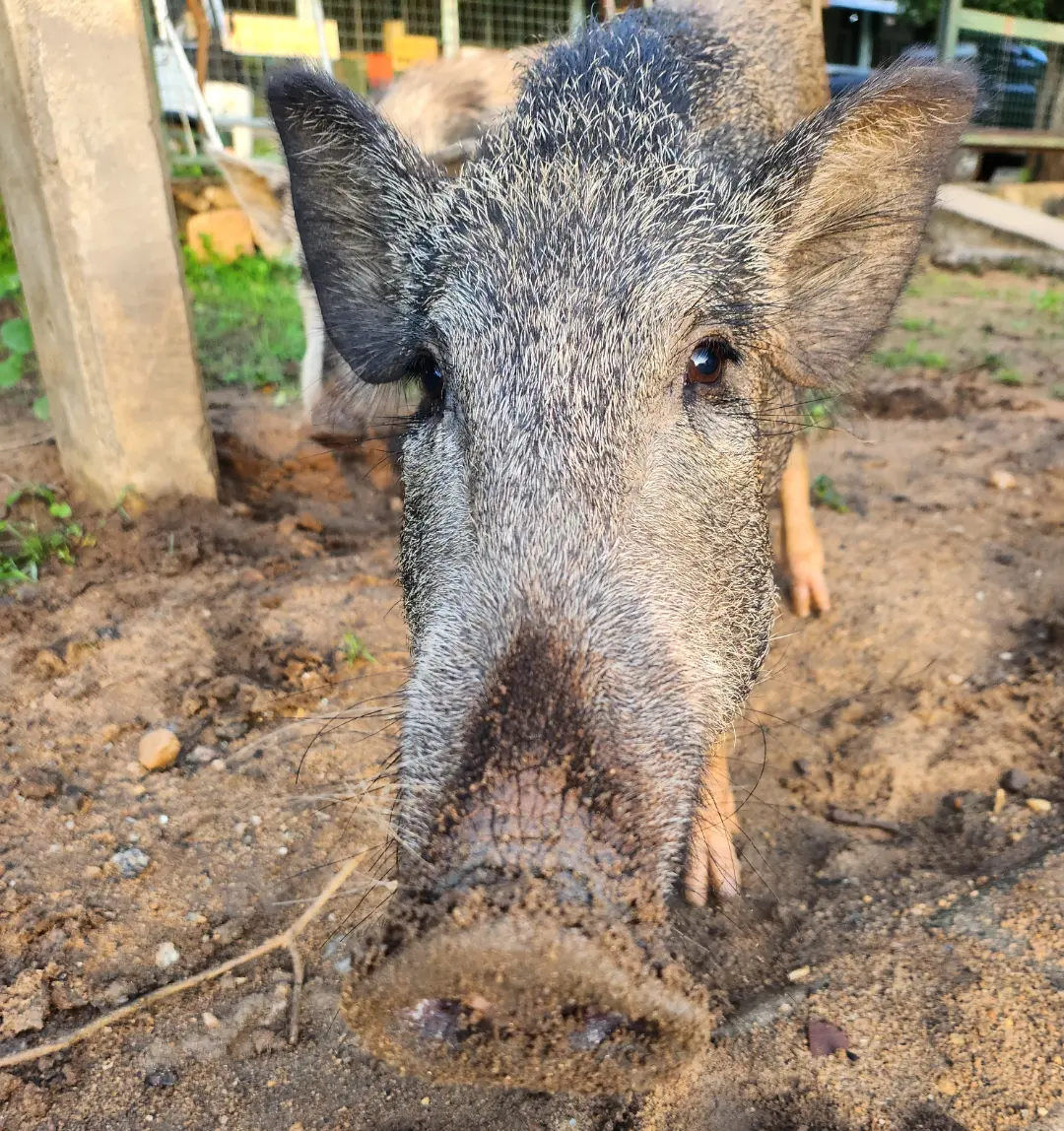 IMG_20231107_104541_065