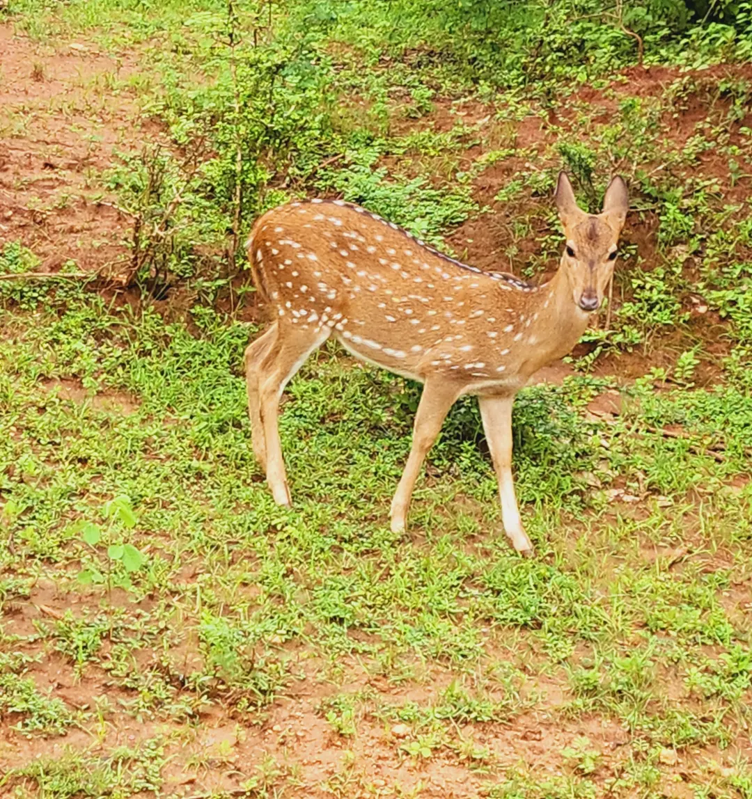 IMG_20231107_104541_116