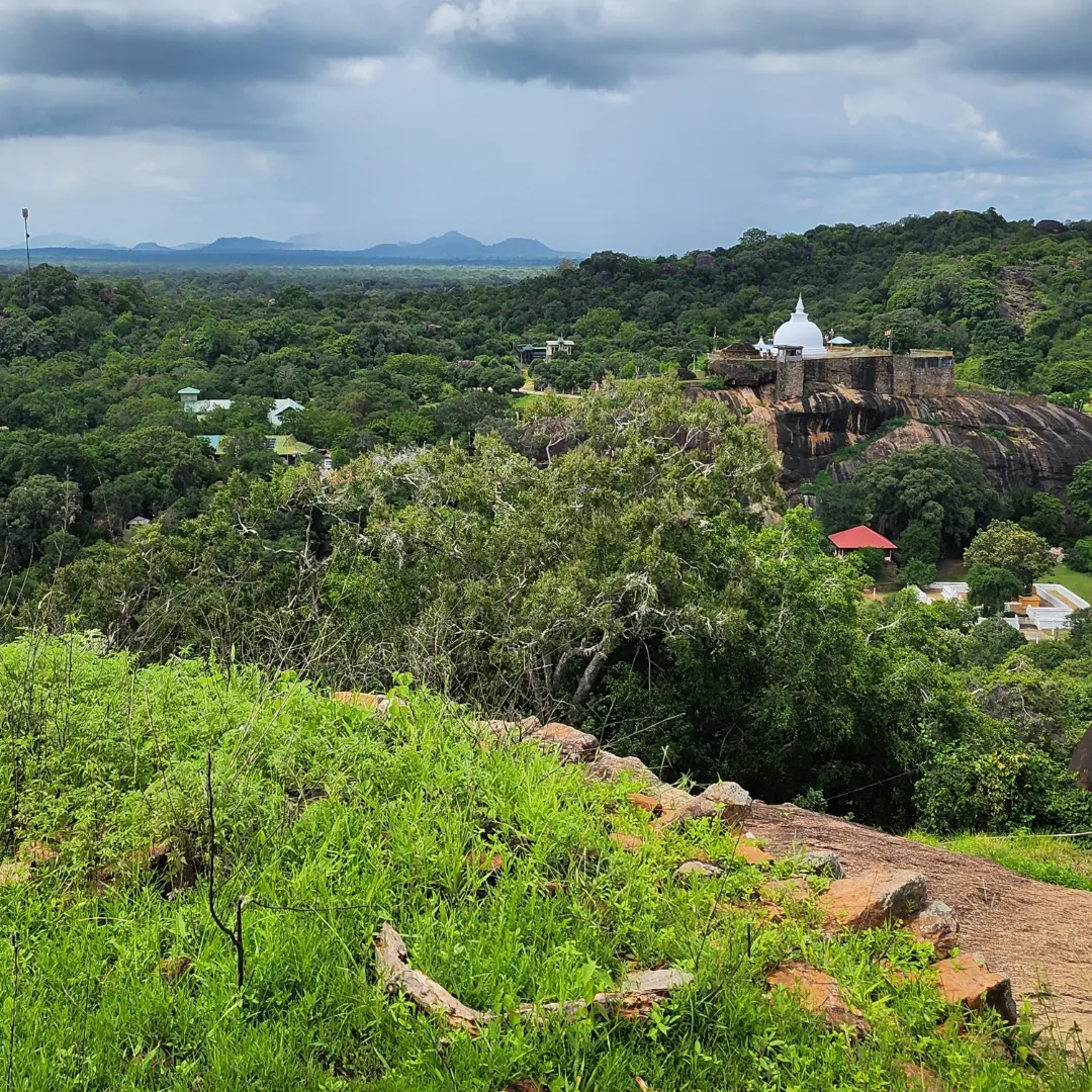 IMG_20231107_104949_295