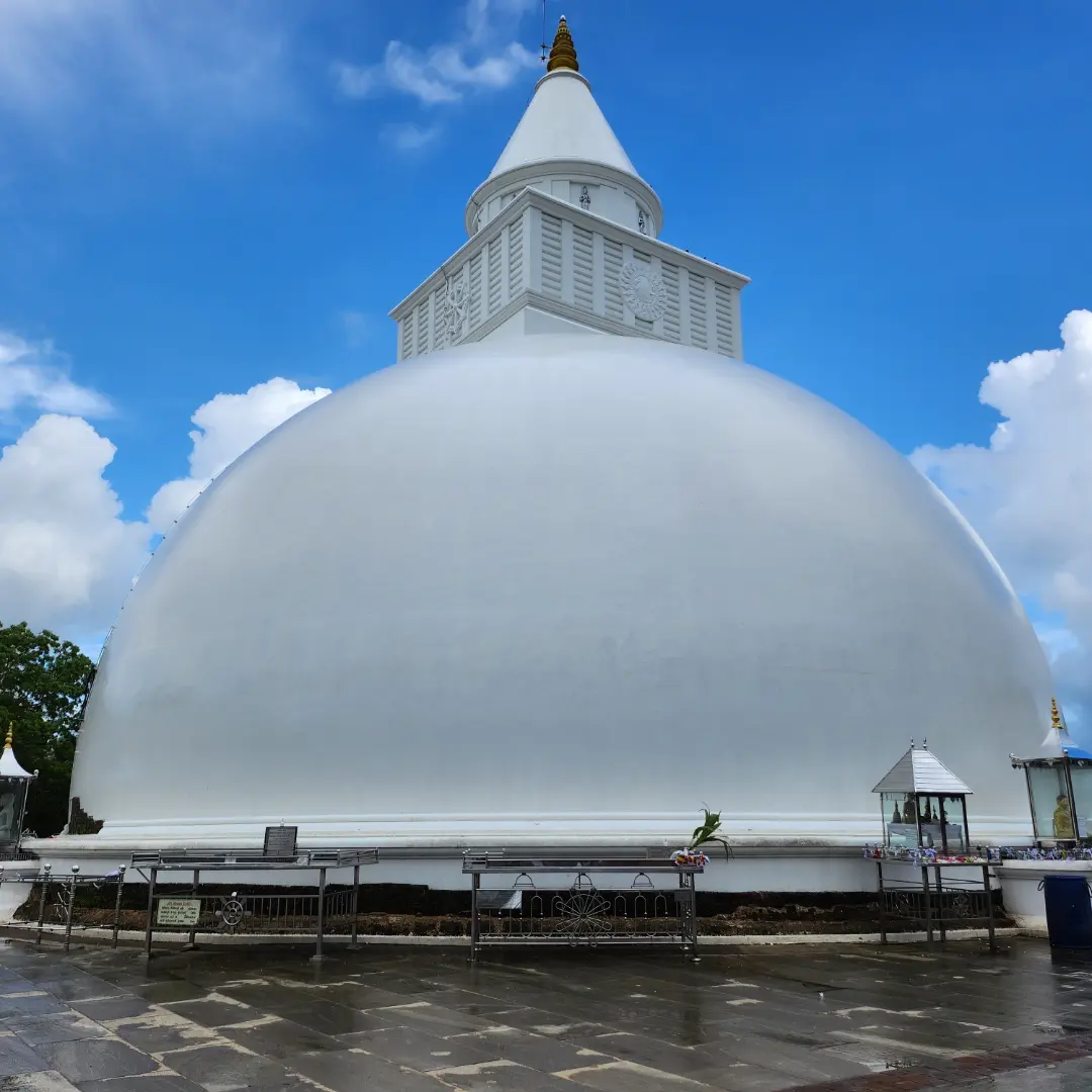 IMG_20231107_110641_144