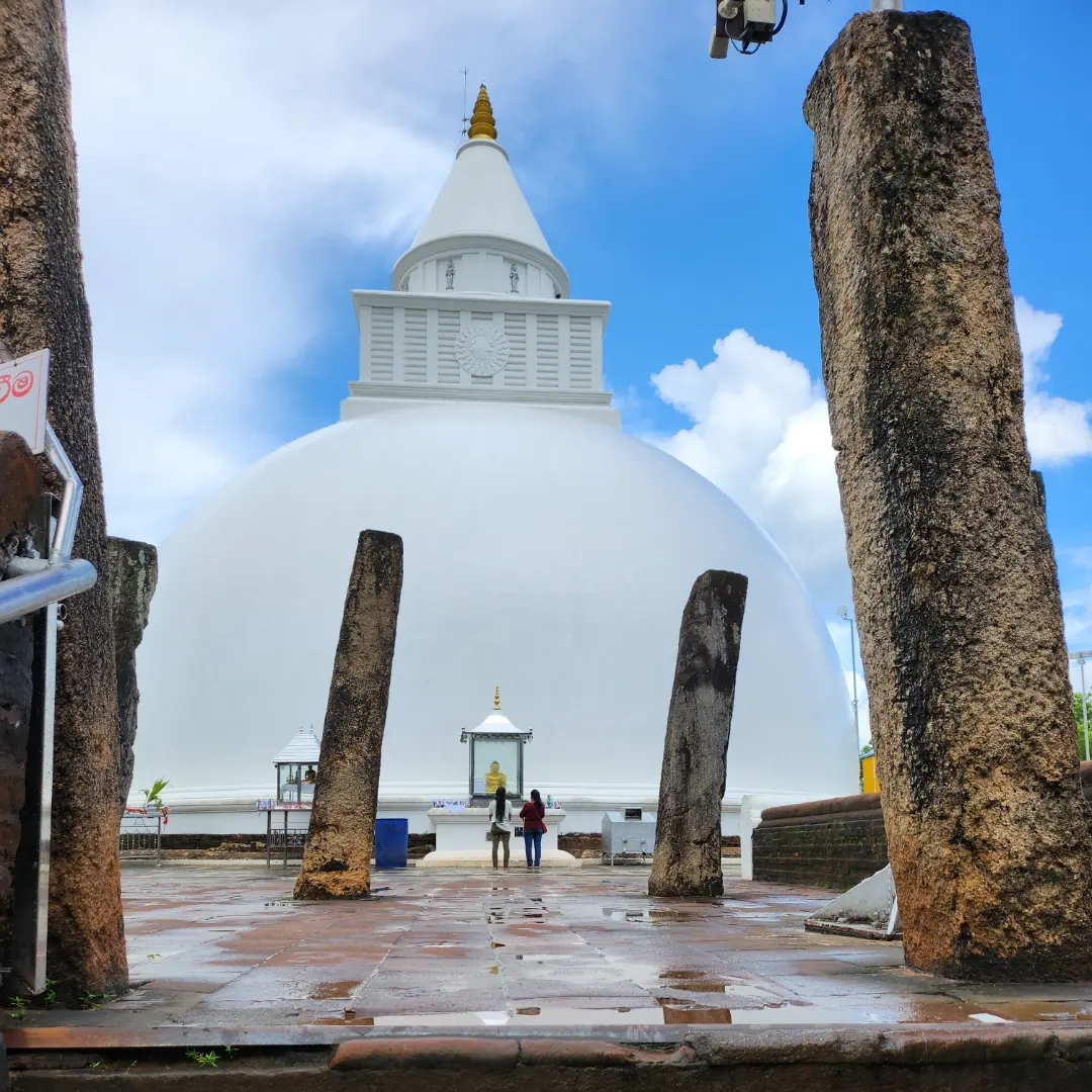 IMG_20231107_110641_208