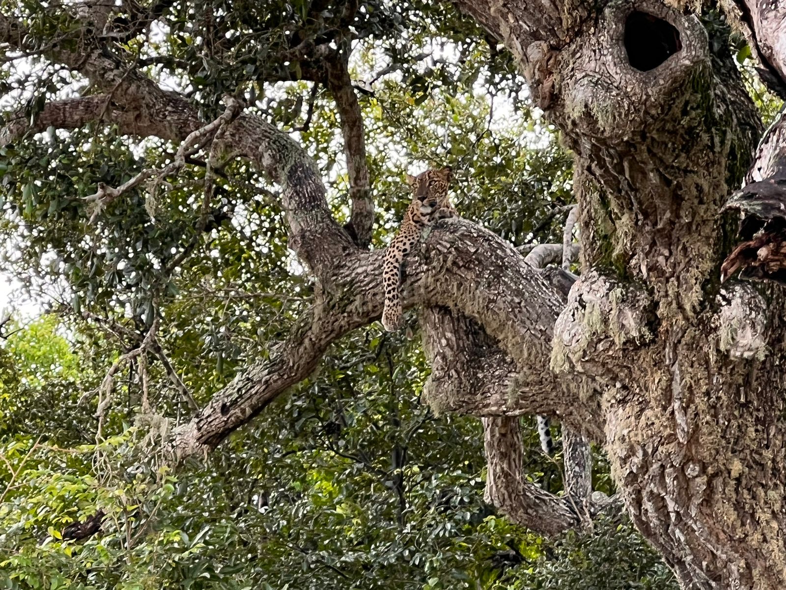 WhatsApp Image 2023-10-24 at 21.19.05