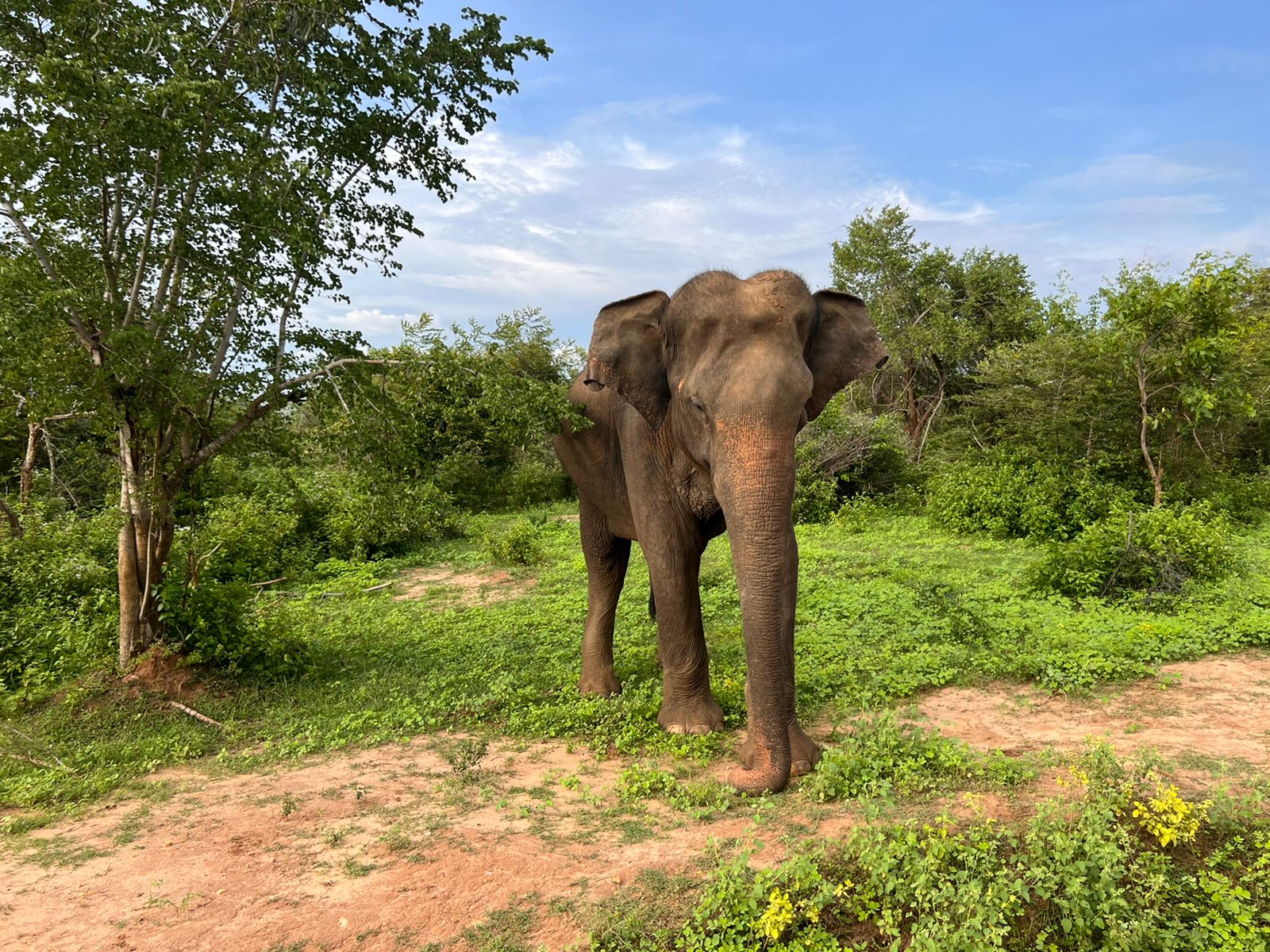 WhatsApp Image 2023-10-24 at 21.19.06