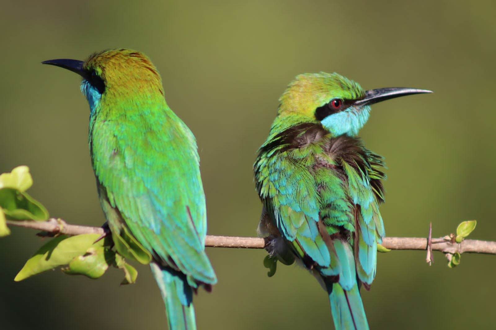 received_656302086220251